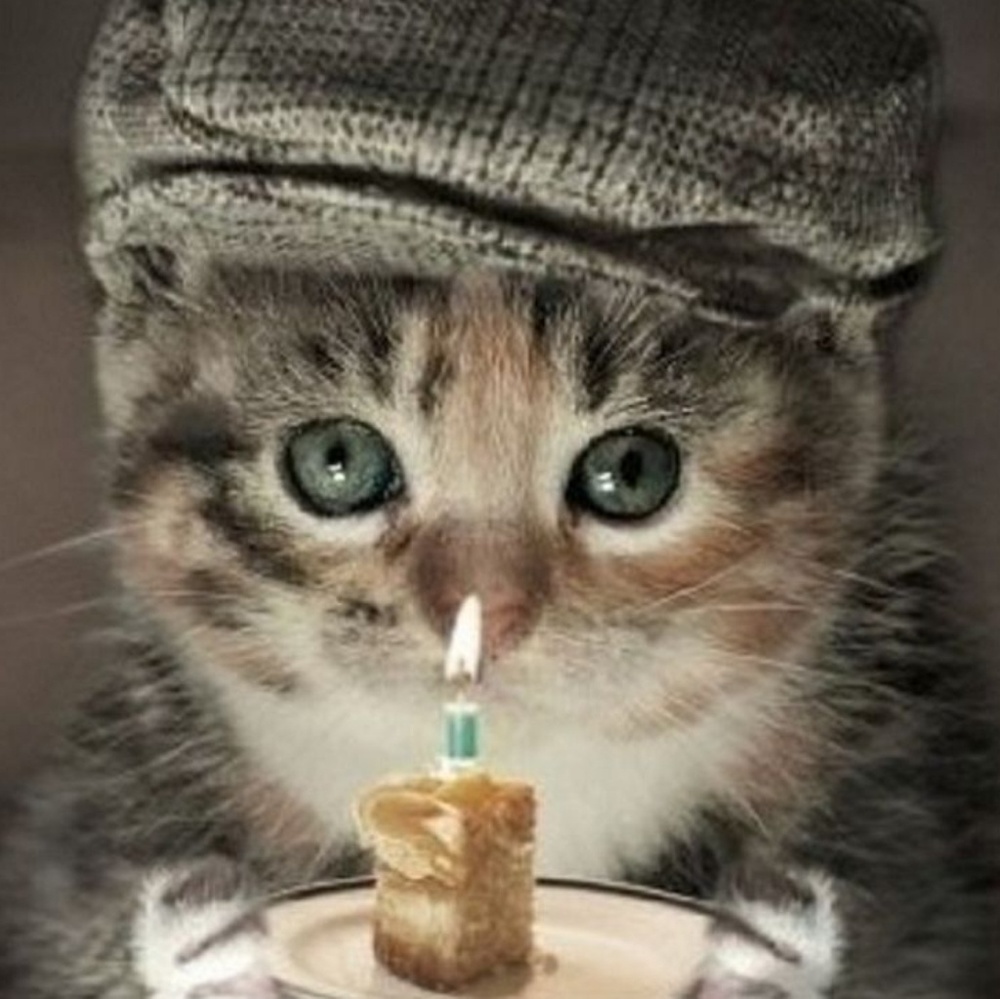 Meet your Posher, Michele